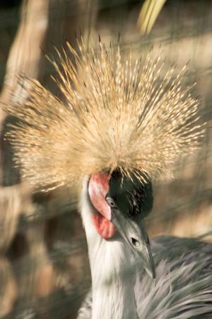 El Rincón de las Aves