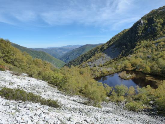 la Reserva Natural Integral de Muniellos