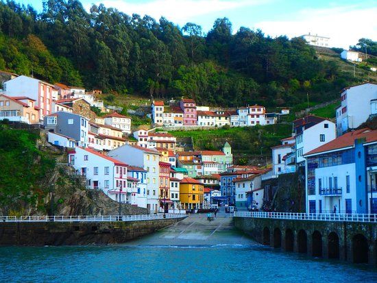 el Puerto Pesquero