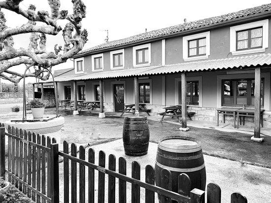 Casa Tero