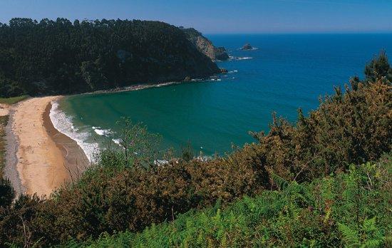 Playa de San Pedro