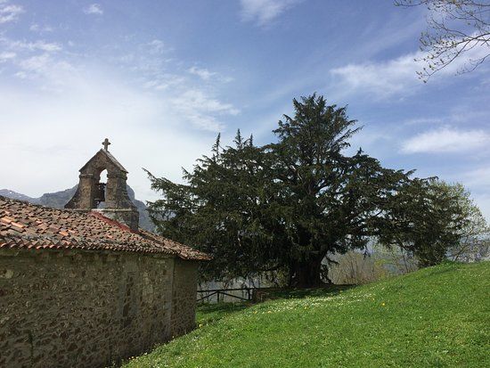 Bermiego