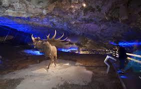 el Centro de Interpretación de Fauna Glacial de Avín y Cueva de la Peruyal